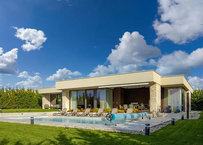 Miracle - Happy * Brtonigla