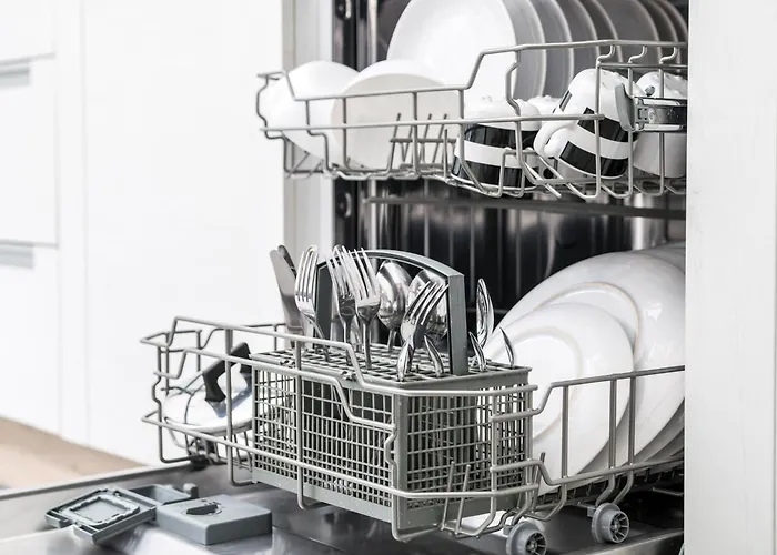 Miracle - Happy Brtonigla